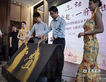 【pa旗舰·雍龙府】万象城旁，，，，，6米层高叠墅验资首日人气完爆天下杯开幕式。。。。。。。。。。 