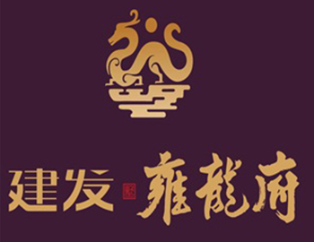合肥首子案名宣布 pa旗舰·雍龙府亮相庐州 